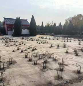 崔氏文化园扩建350根桩基完成